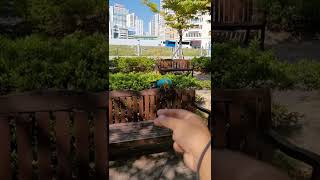 루카 호출 모음 #shorts #청금강