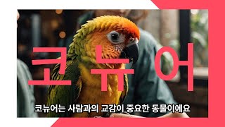 [코뉴어] 영리한 앵무새 동물친구