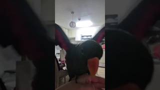 앵무새에게 어떻게 사회성을 키워줄까요?