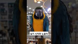 청금강 노을이 날기시작한