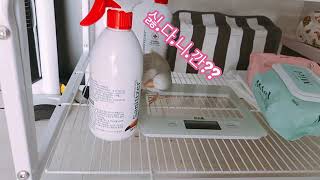 예쁜 외모 but 반전성격 퀘이커앵무 (&quot;Il…