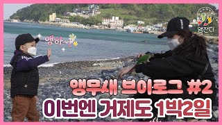 [앵무새 브이로그] #2. 거제도 1박2일 (55평 에…