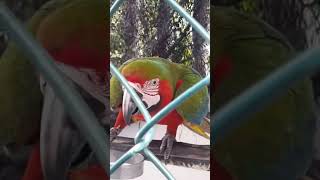 #travel#amazing #country #maco…