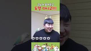 코뉴어 물어뜯고 도망 다니고!!! #shorts  #앵…