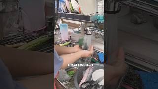 샤워하는 쁘띠.                                                    #앵무새 #코뉴어 #퀘이커 #말하는앵무새