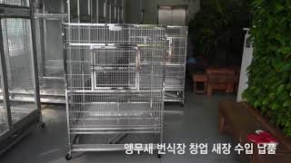앵무새번식장, 앵무새창업 전용 새장 수입