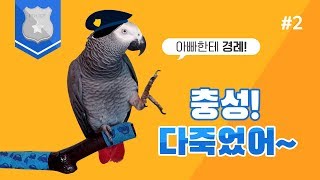 연구대상 똘이뷰 앵무새 충성! 다죽었어~ #2