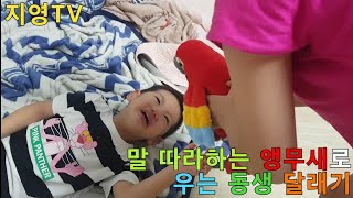 우는 동생도 뚝 그치게 만드는 말 따라하는 앵무새 ab…
