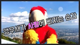 [BURI BURI] 모태솔로 앵무새 파랑이가 과연 솔…