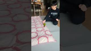 이제 코리가 &quot;빵&quot;하면 넘어져요 개만…