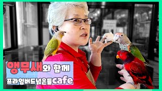 천안 이색카페 테마카페 앵무새카페 프라임버넓은들cafe 박미숙대표 인터뷰