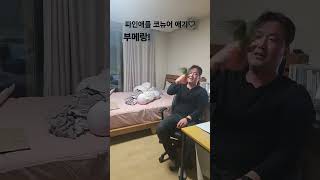 앵무새#코뉴어#파인애플 코뉴어#파인이#껌딱지