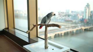 해리의아무말대잔치 feat.산토끼