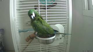 문열고 나와  깃  정리하고 집으로 ㅎ