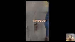 소개영상 2. (#크레스티드게코 #코뉴어 #구피 #앵무…