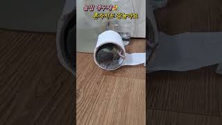 혼자놀기의 진수를 보여주는 코뉴어앵무새  그이름은 "하나" 기분전환 하세요