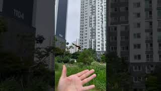 할리퀸 마카우 루카 줄 안매고 그대로 날아가버릴까? 두근두근..