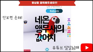 입양하세요 네온 앵무새의 값어치는?