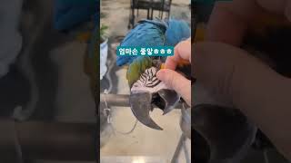 엄마손길이 좋은 청금강 백만