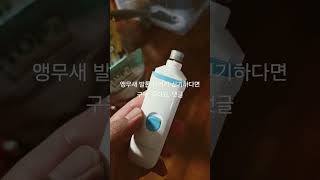 앵무새 발톱 관리는...장비가 있어야 효율적 #반려동물…