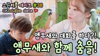 소근커플 데이트#38 앵무새와 함께 춤을![ENG SU…