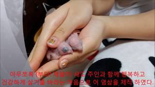 앵무새를 잘 키우려면 11   (앵무새 질병 치료 사례…