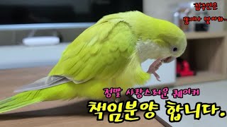 마감. 끝!