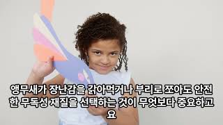 코뉴어 앵무새를 처음 기르는 분들이 준비 할 물품