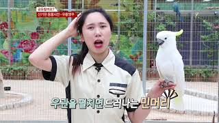 20170901 사방팔방 유황앵무새