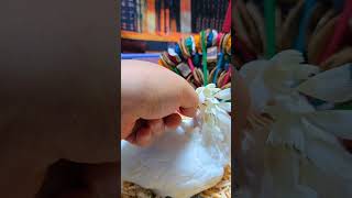 듀컵코카투예요 #birdslover #parrot #p…