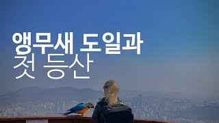 청금강 앵무새와 등산하기! 너무 신났는데...?