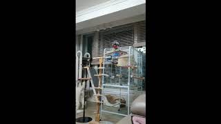 회색 앵무 빼로 기분좋을때