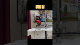 앵무새 현실 자각 타임⏰ #parrot #뉴기니아 #말하는앵무새 #반려조 #앵무새 #앵무새반응 #안돼요안돼 #릴리앤빌리