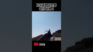 [청금강] 자유비행 끝판왕  등산비행 4 (정상에서)