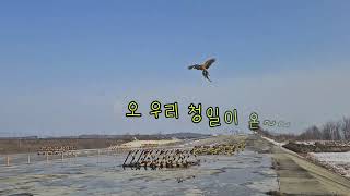 자유비행스토리 / 자비스 / 청일이