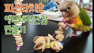 피스타치오로 천연 앵무새 장난감만들기 parrot to…