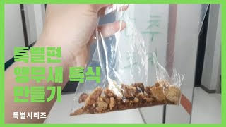 ?특별편?앵무새 특별식 만들기/앵무새쿠키/앵무새 간식/…