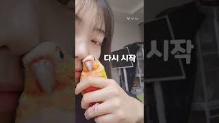 코카인 말고 앵카인 어때 ? 참고로 코뉴어의 부리힘은 …