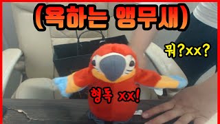 『노가리 시리즈』 앵무새를 선물 받았습니다ㅋㅋㅋㅋㅋㅋㅋ
