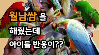 새로운음식을 만들어줬을때 아이들 반응은? / 월남쌈 먹…