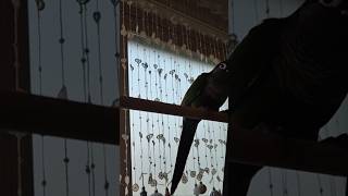 코뉴어앵무새#하랑이#하봉이#parrot