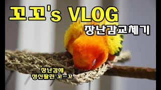썬코뉴어_꼬꼬&#39;s VLOG 장난감교체기