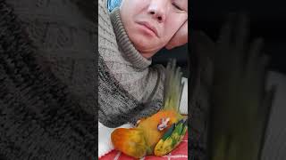 썬코뉴어 코니애교ㅋ