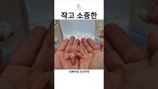 건강한 부모새에게서 태어난 갈라코카투