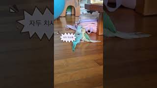 자두(코뉴어)와 깨비(퀘이커)의 달리기 대회