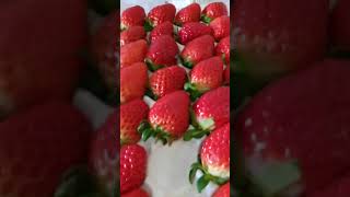 무편집동영상 코뉴어앵무새 Vlog_택배2/언니 채소보내…