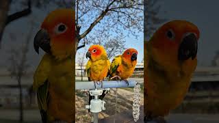 날씨 좋은 주말 오후, 평화로운 일상 #썬코뉴어 #썬코…