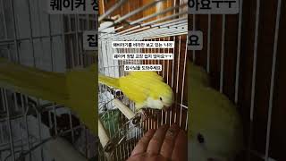 해바라기를 바라만 보고 있는 '나리'..퀘이커 교감 정…