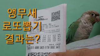 공서연.888회차 로또.앵무 가을이 로또뽑기 결과는?2019.12.7일