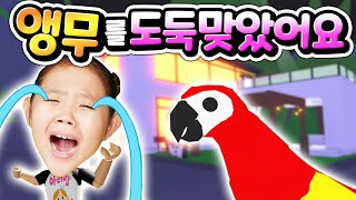 귀요미 펫 친구들의 방을 꾸며 주었는데 전설 앵무새를 누가 가져가 버렸어요! 도대체 범인은 누구일까요? 로블록스 입양하세요 Roblox Adopt Me  [아려랑]